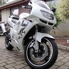 Kawasaki Zx6R Ninja "RIP"