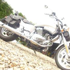 Zongshen regal raptor SOLGT