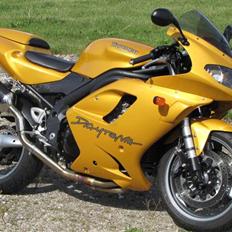 Triumph Daytona 955i