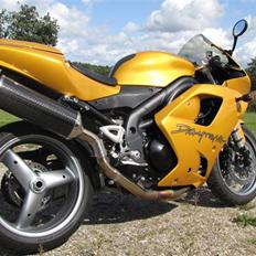 Triumph Daytona 955i