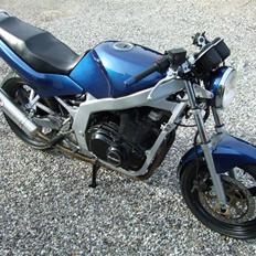 Suzuki gs500E