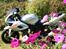 Suzuki TL 1000S *solgt*