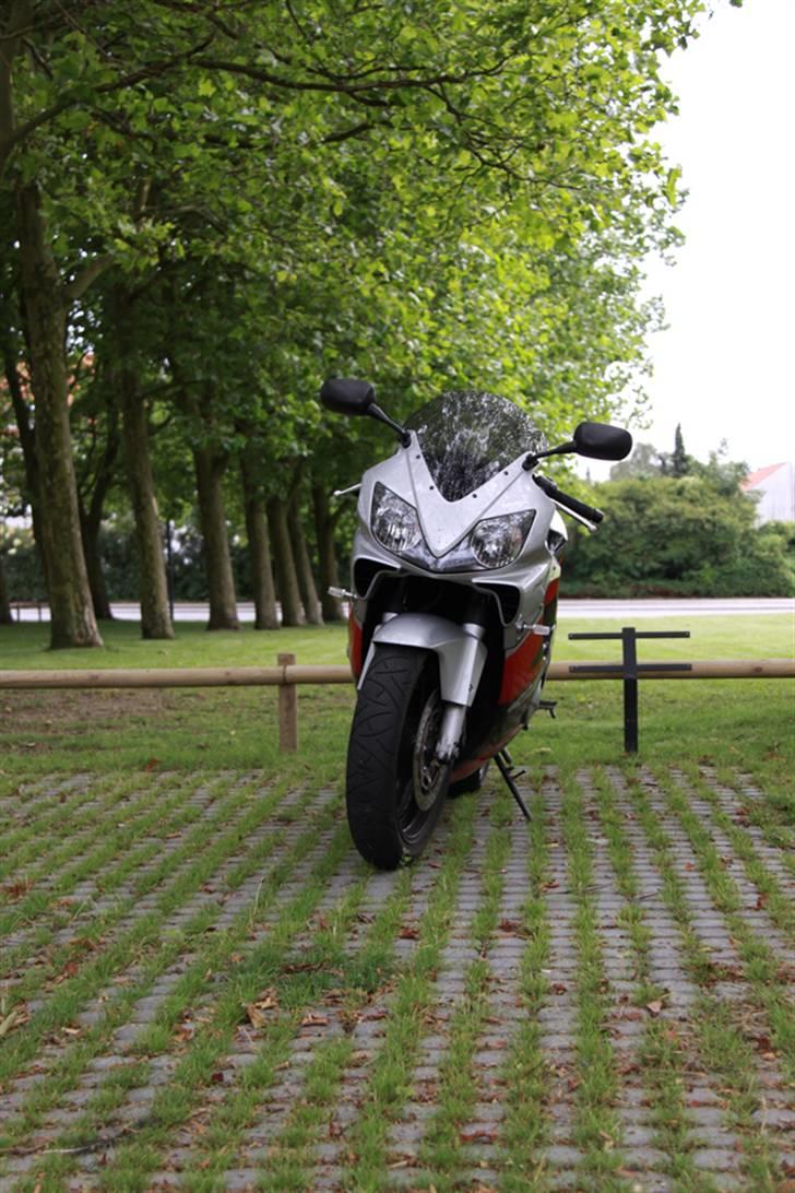 Honda CBR 600 F4i billede 1
