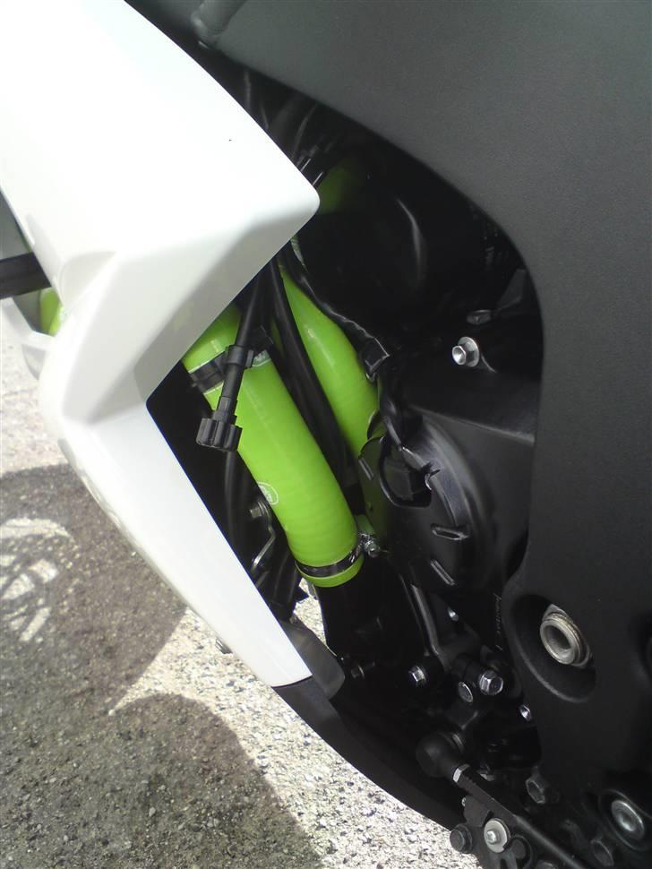 Kawasaki ZX6R - Samco køleslanger i lime grøn billede 19