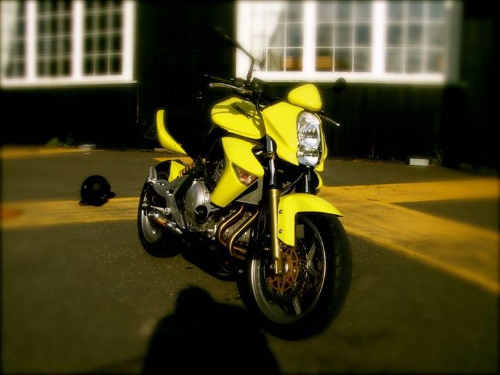 Kawasaki ER-6N Gul *Solgt* billede 2