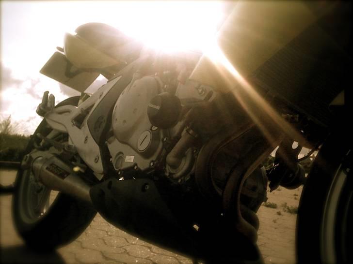 Kawasaki ER-6N Gul *Solgt* billede 12