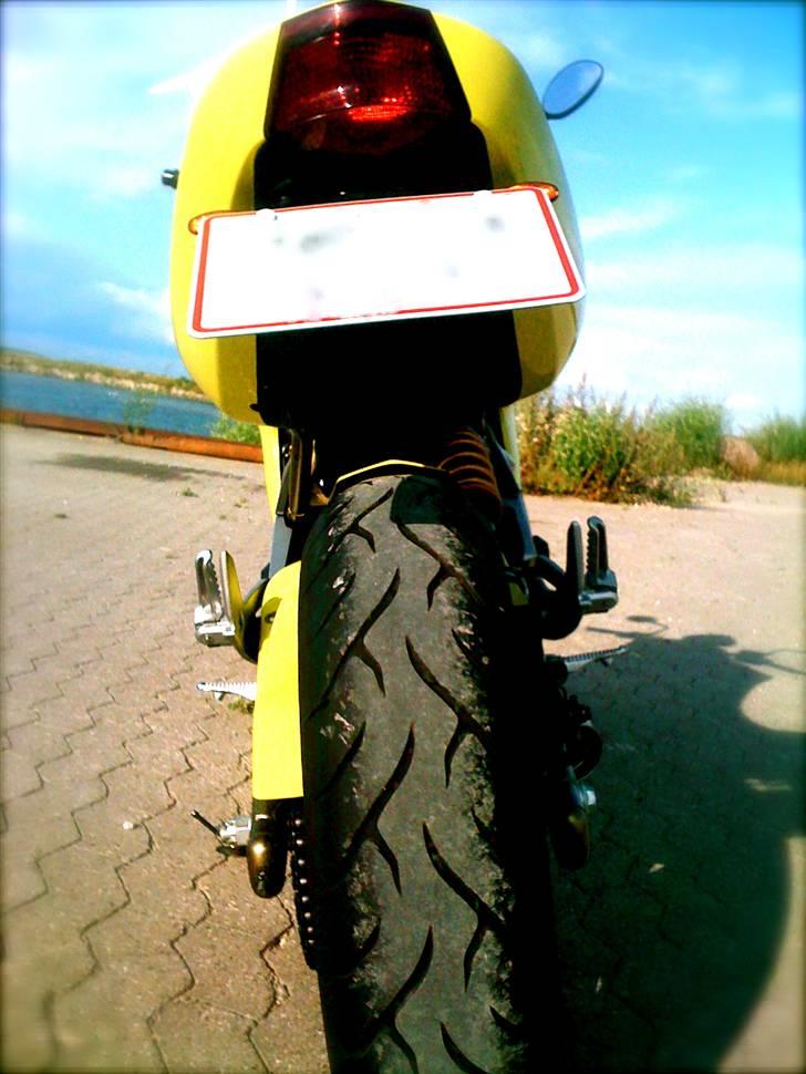 Kawasaki ER-6N Gul *Solgt* billede 13