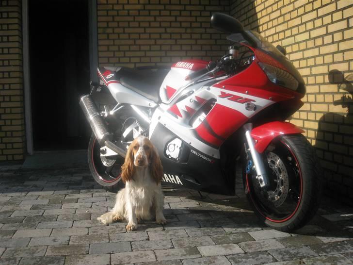 Yamaha YZF R6 (solgt) billede 1