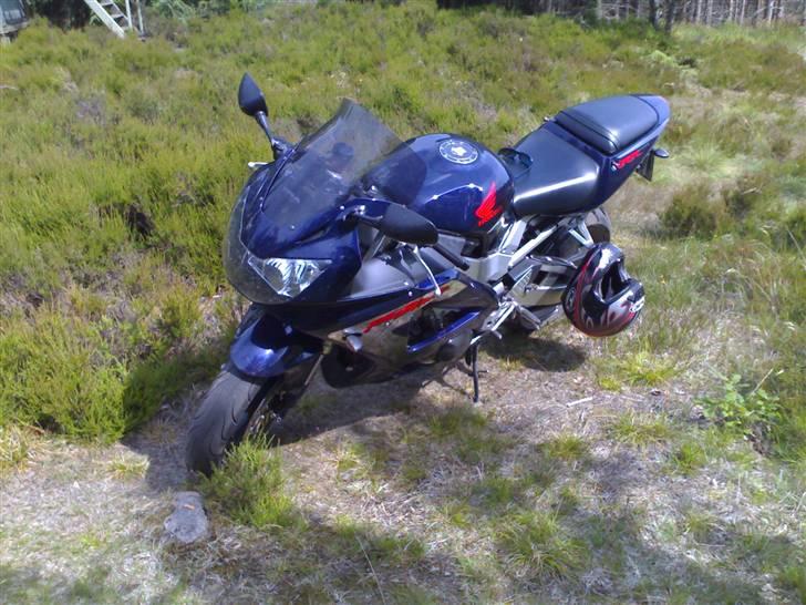 Honda CBR 900 RR Fireblade - Christianshede Juli 09 billede 10