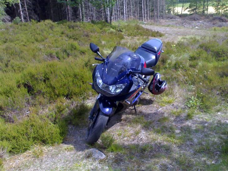 Honda CBR 900 RR Fireblade billede 11