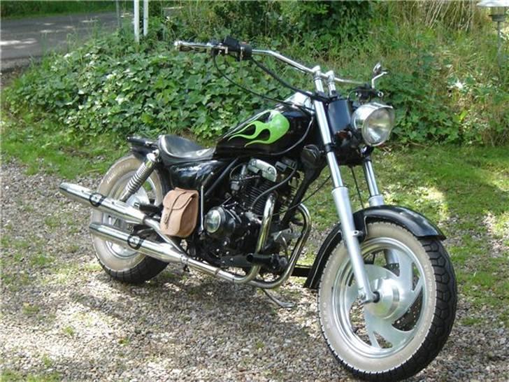 Jinlun  " Geniune Flopper" billede 8