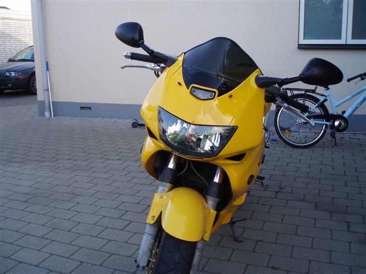 Honda vtr firestorm til salg billede 15