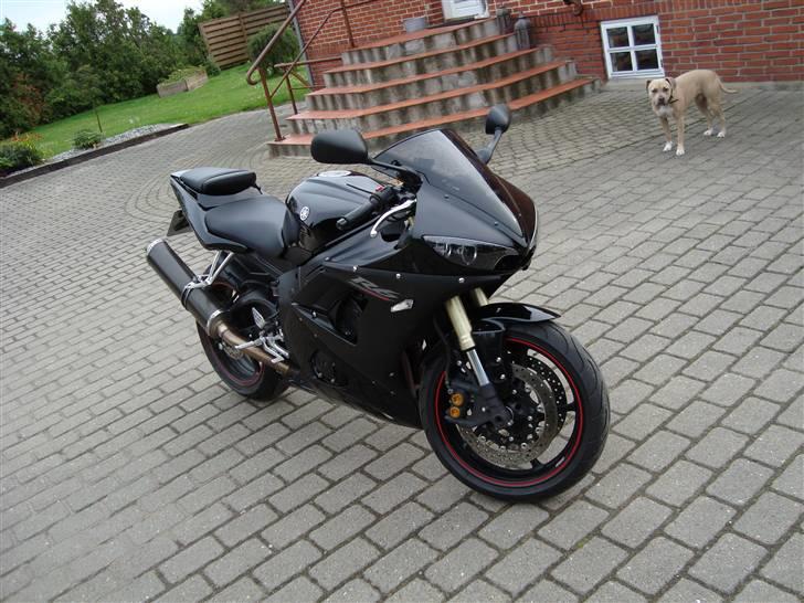 Yamaha r6 billede 3