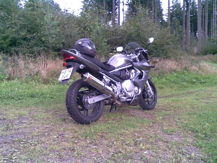 Suzuki GSF 650 SA K8 Bandit billede 9