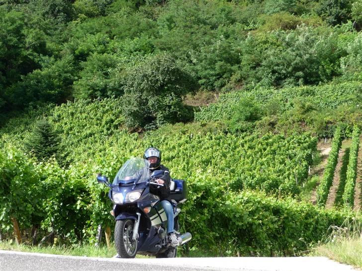 Yamaha FJR 1300 * SOLGT* - De fleste omgivelser bliver kønnere med en FJR 1300!! billede 4