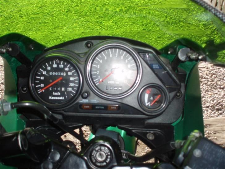 Kawasaki Gpz 500 billede 5