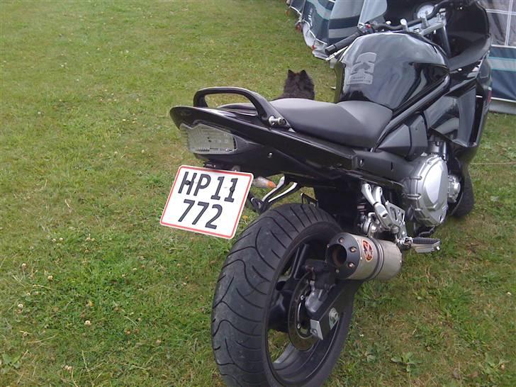 Suzuki Gsx650f billede 3