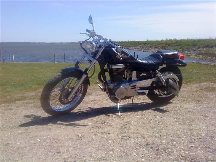 Suzuki LS savage 650 billede 1