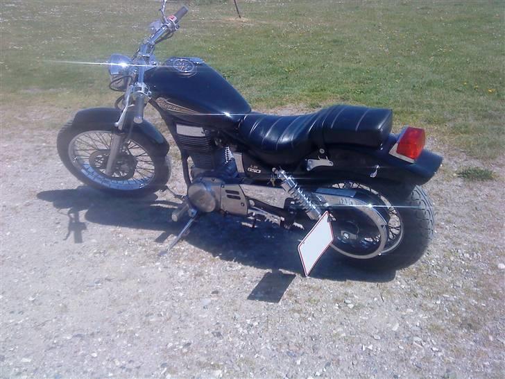 Suzuki LS savage 650 billede 3
