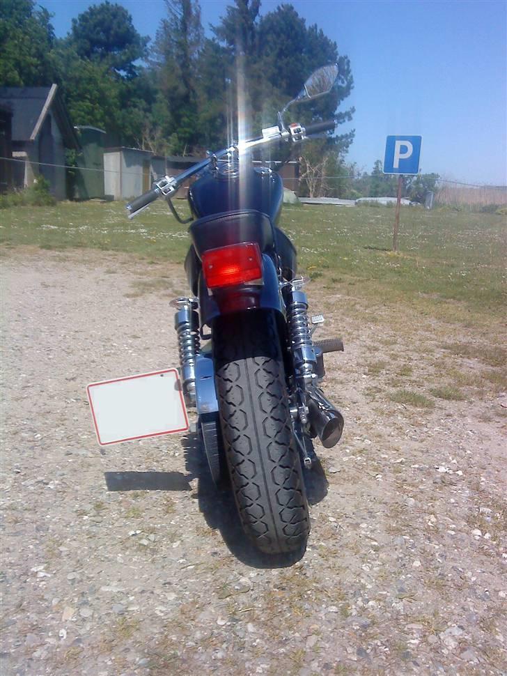 Suzuki LS savage 650 billede 6