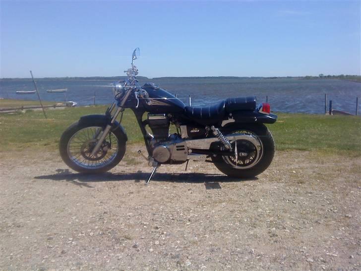 Suzuki LS savage 650 billede 7