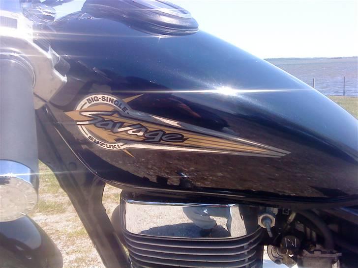 Suzuki LS savage 650 billede 8