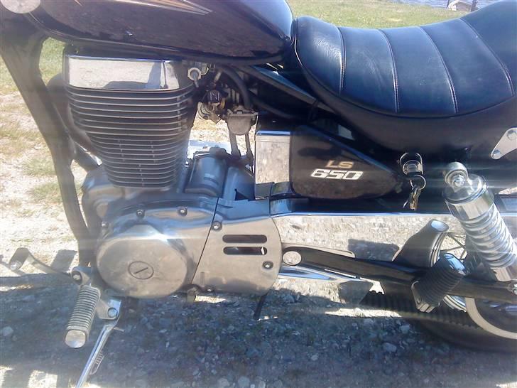 Suzuki LS savage 650 billede 9