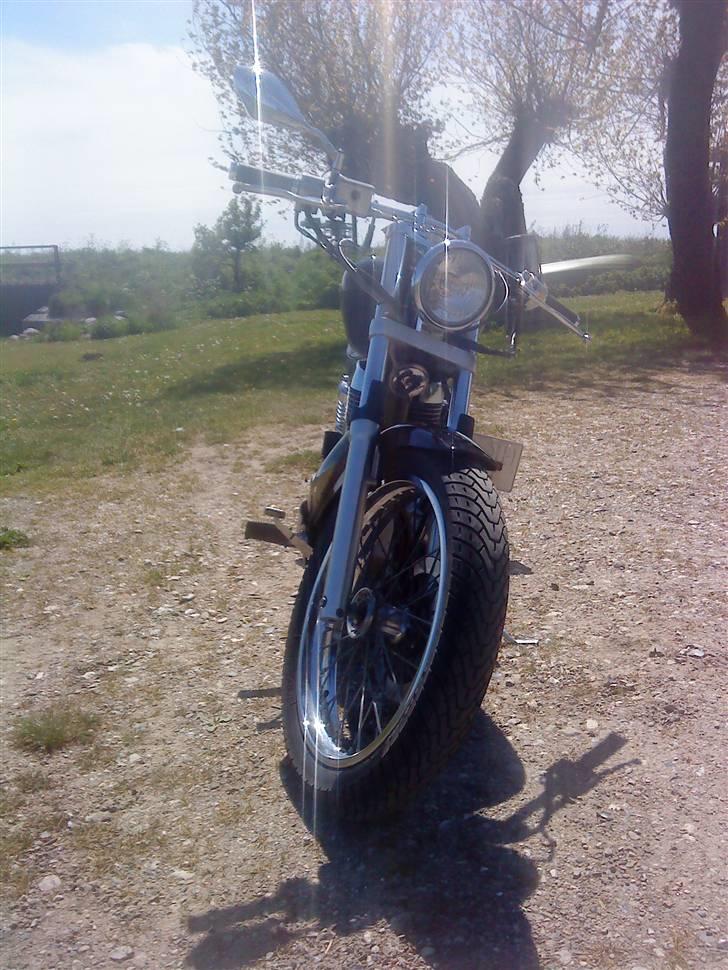 Suzuki LS savage 650 billede 12