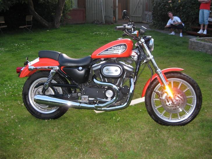 Harley Davidson Sportster R - Før den kom under en kærlig hånd. billede 2