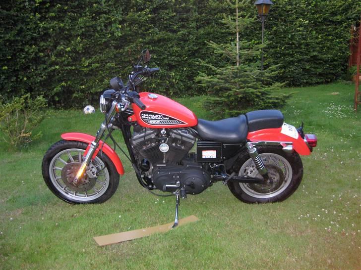 Harley Davidson Sportster R - Ikke så køn,men billig billede 3