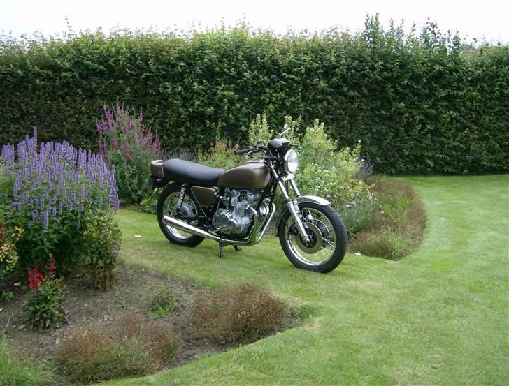 Suzuki GS 550 billede 14