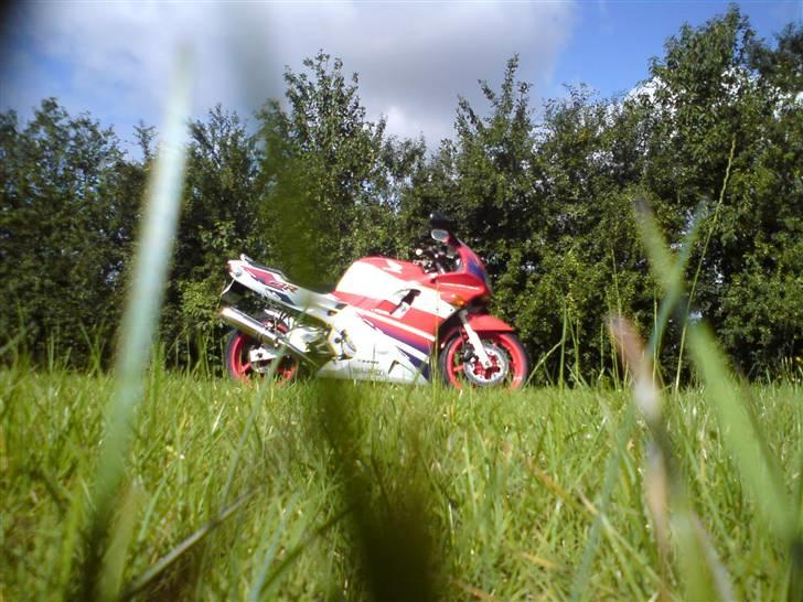 Honda cbr 600 f2 sport (pc25) billede 16
