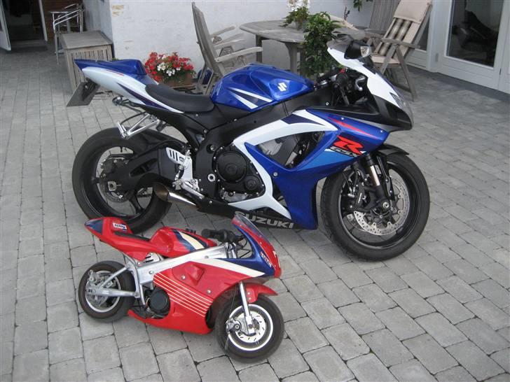 Suzuki Gsx-R 750 K7 "Hot bodies" - helt standart, næsten havde lige købt. min nevø`s pocket bike. billede 10