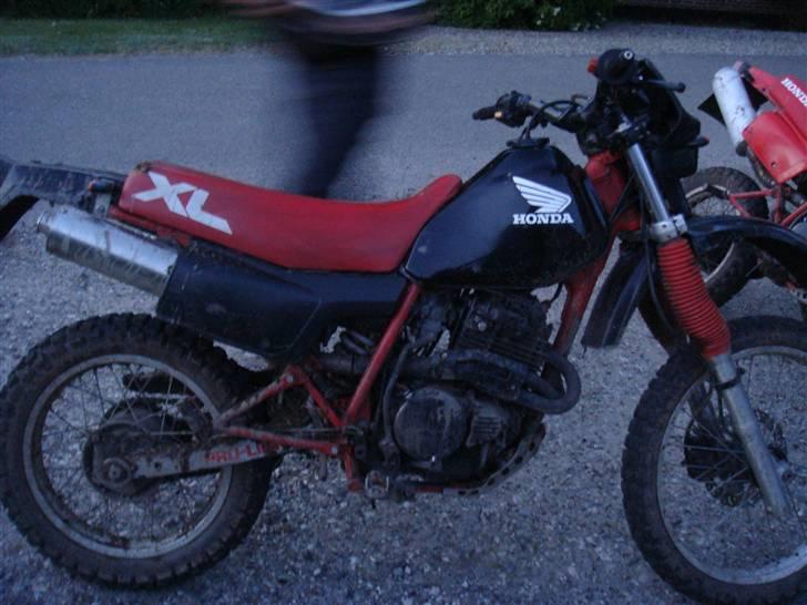 Honda XL 350r billede 10