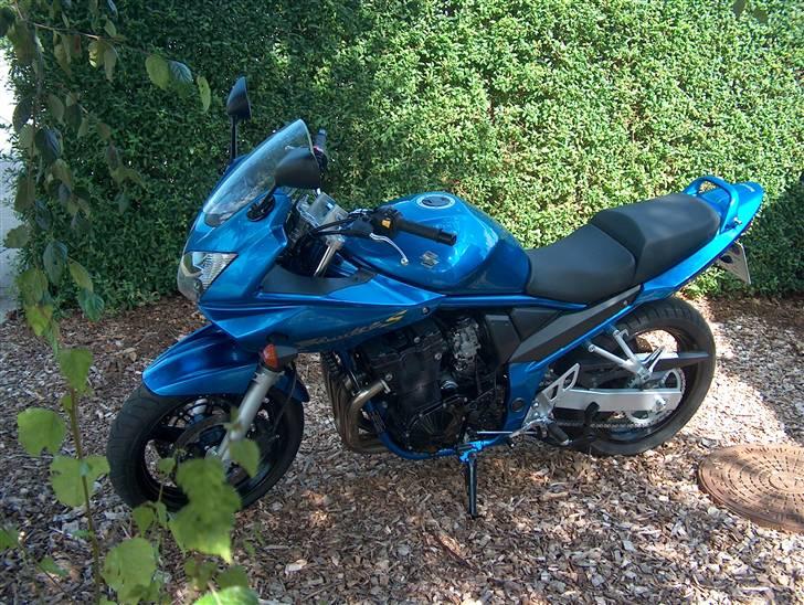 Suzuki gsf 650 billede 1