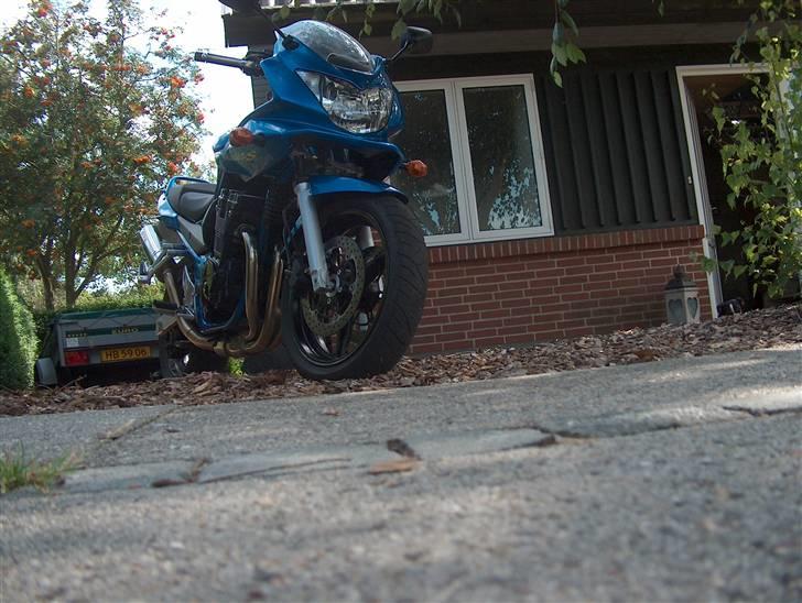 Suzuki gsf 650 billede 6