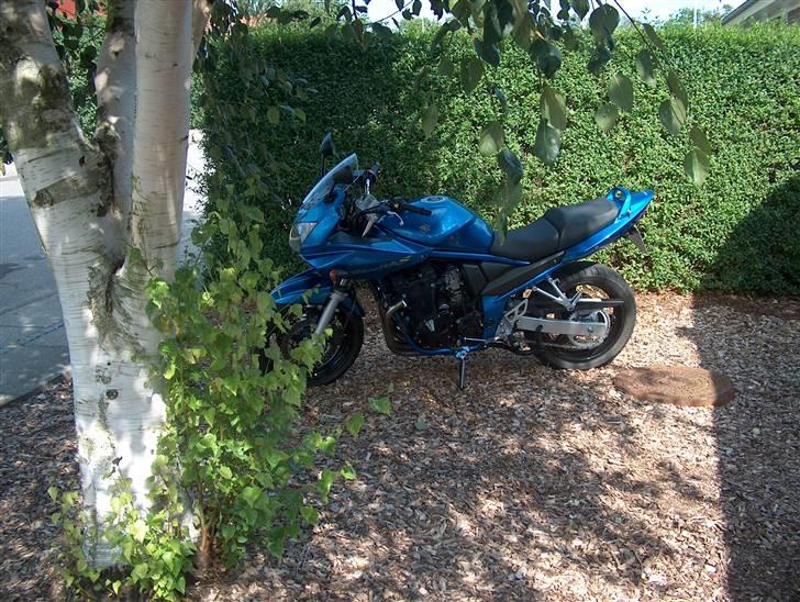 Suzuki gsf 650 billede 7