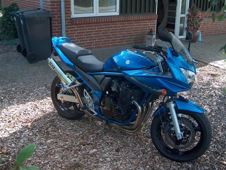 Suzuki gsf 650 billede 13