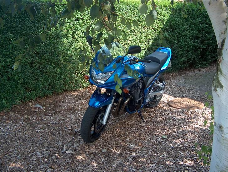 Suzuki gsf 650 billede 14