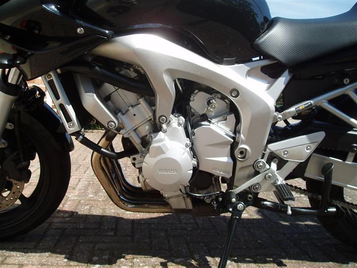 Yamaha FZ6-S billede 6