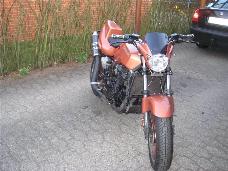 Kawasaki gpz 900/1000 billede 3