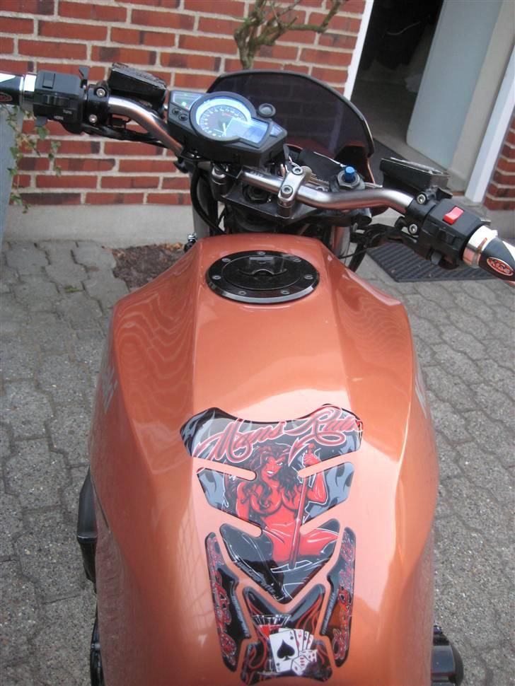 Kawasaki gpz 900/1000 billede 5