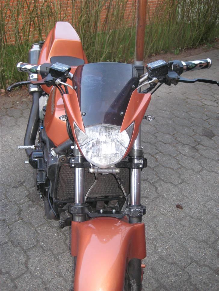 Kawasaki gpz 900/1000 billede 7