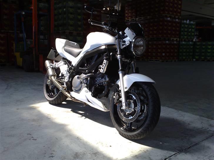 Suzuki sv 650 n billede 1