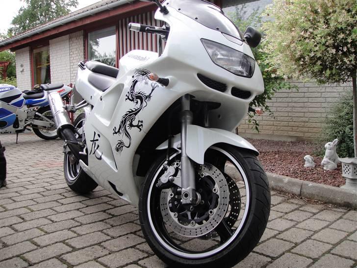 Kawasaki Zx6R Ninja "RIP" billede 3