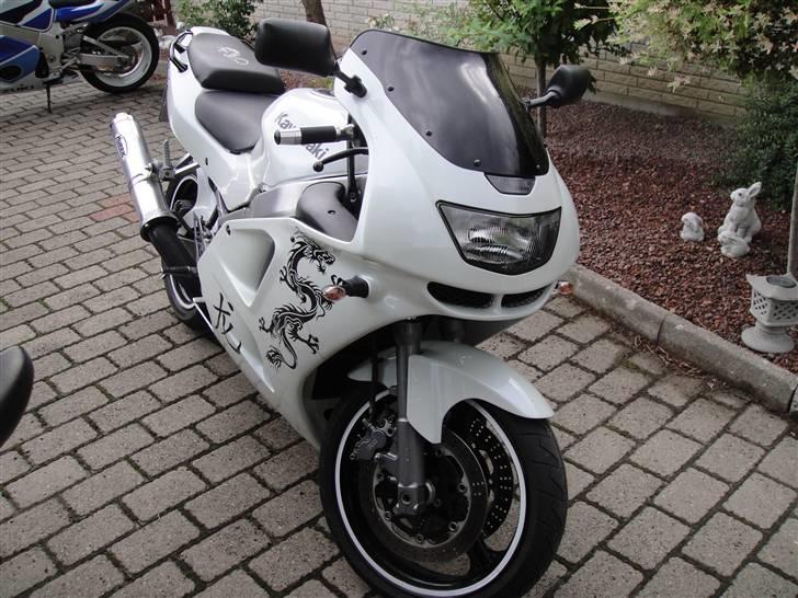 Kawasaki Zx6R Ninja "RIP" billede 4