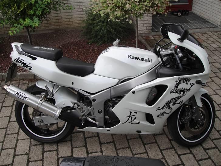 Kawasaki Zx6R Ninja "RIP" billede 7