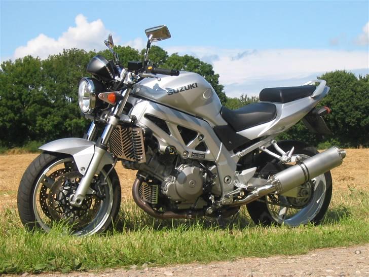 Suzuki SV 1000 N billede 1