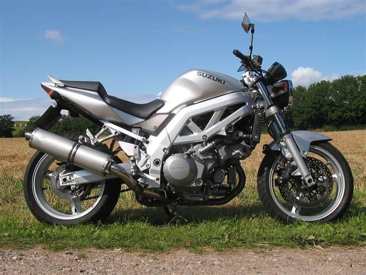 Suzuki SV 1000 N billede 2