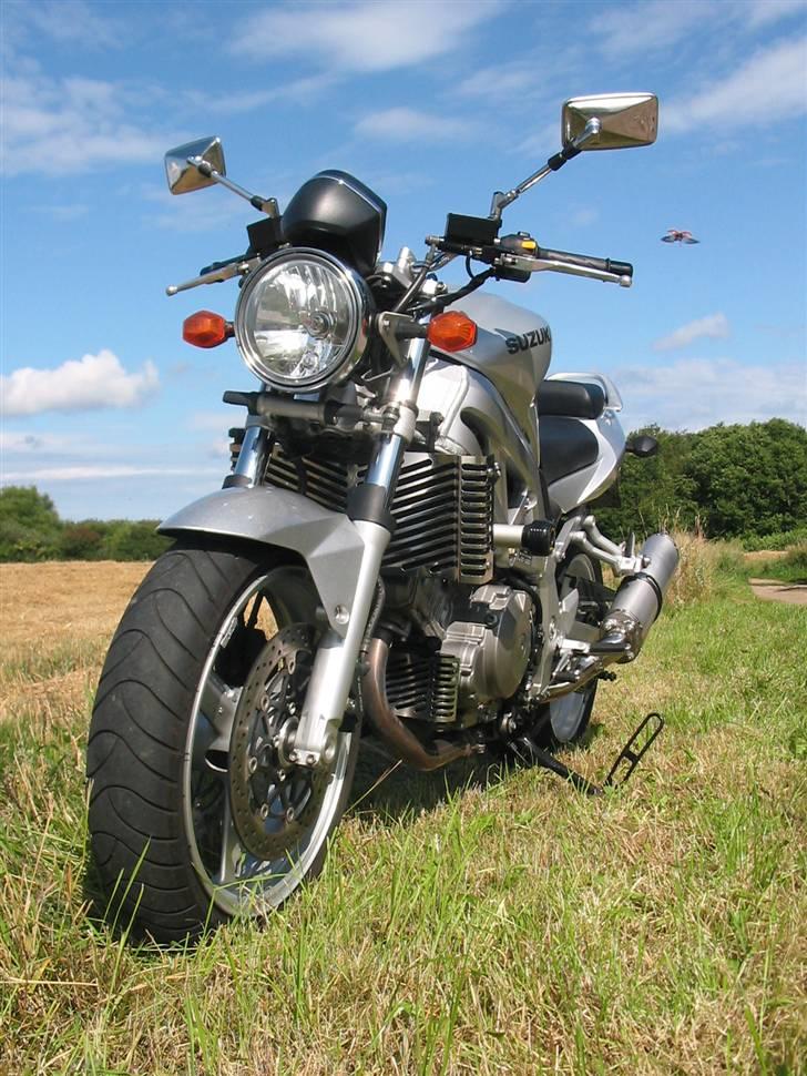 Suzuki SV 1000 N billede 3